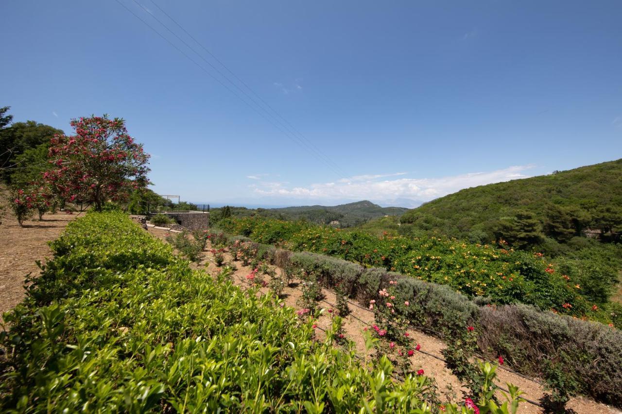 Agallis Corfu Residence Sokrakion Экстерьер фото